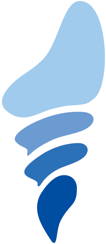 logobt1